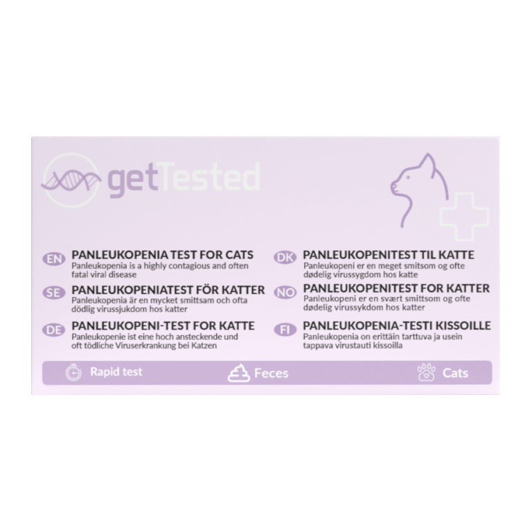 Panleukopeenia test kassile Panleukopeenia test kassile
